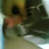 Ngentot Sampe Crot dengan Guru di kelas