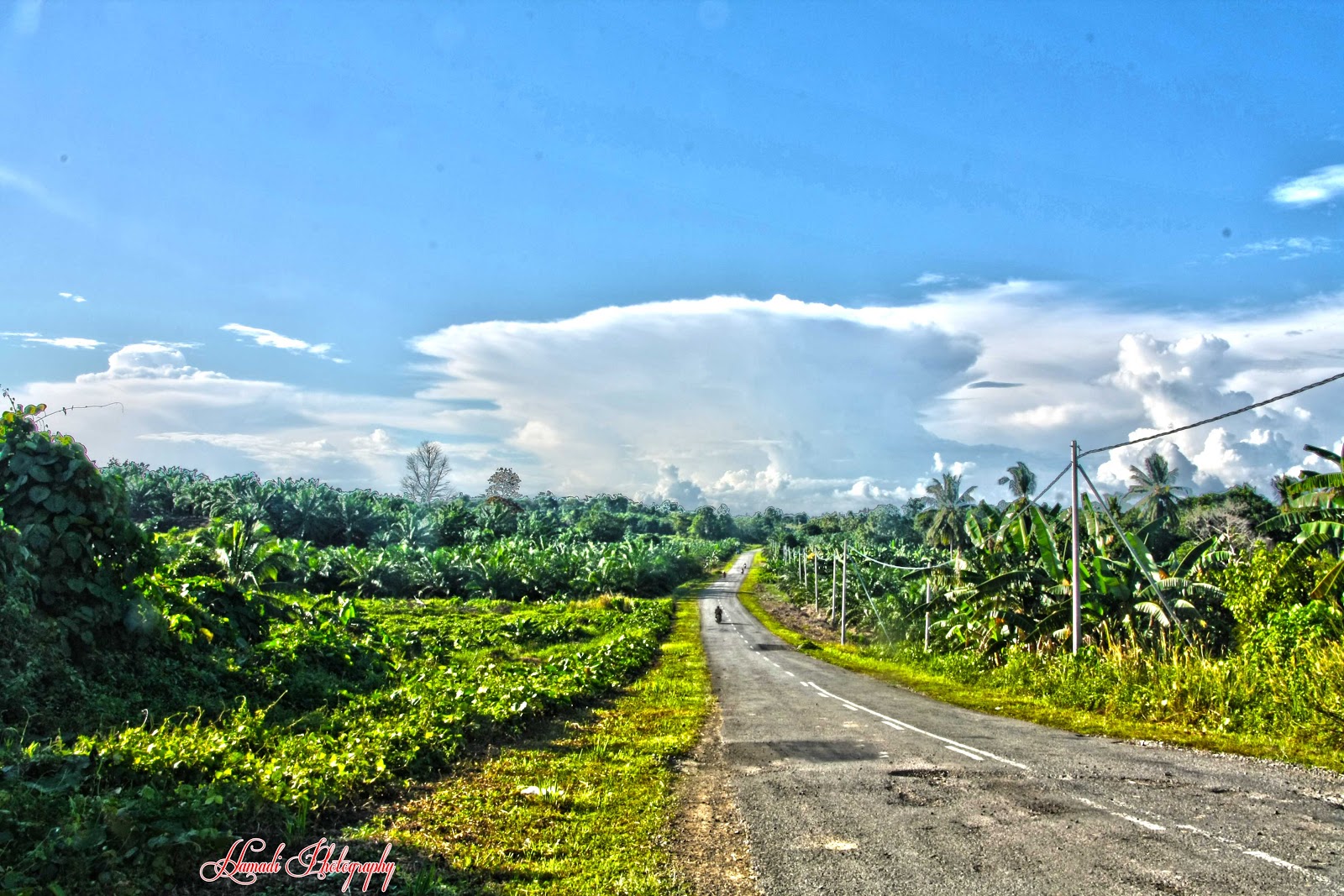 Bingkisan...: Panorama dari Pulau Sebatik