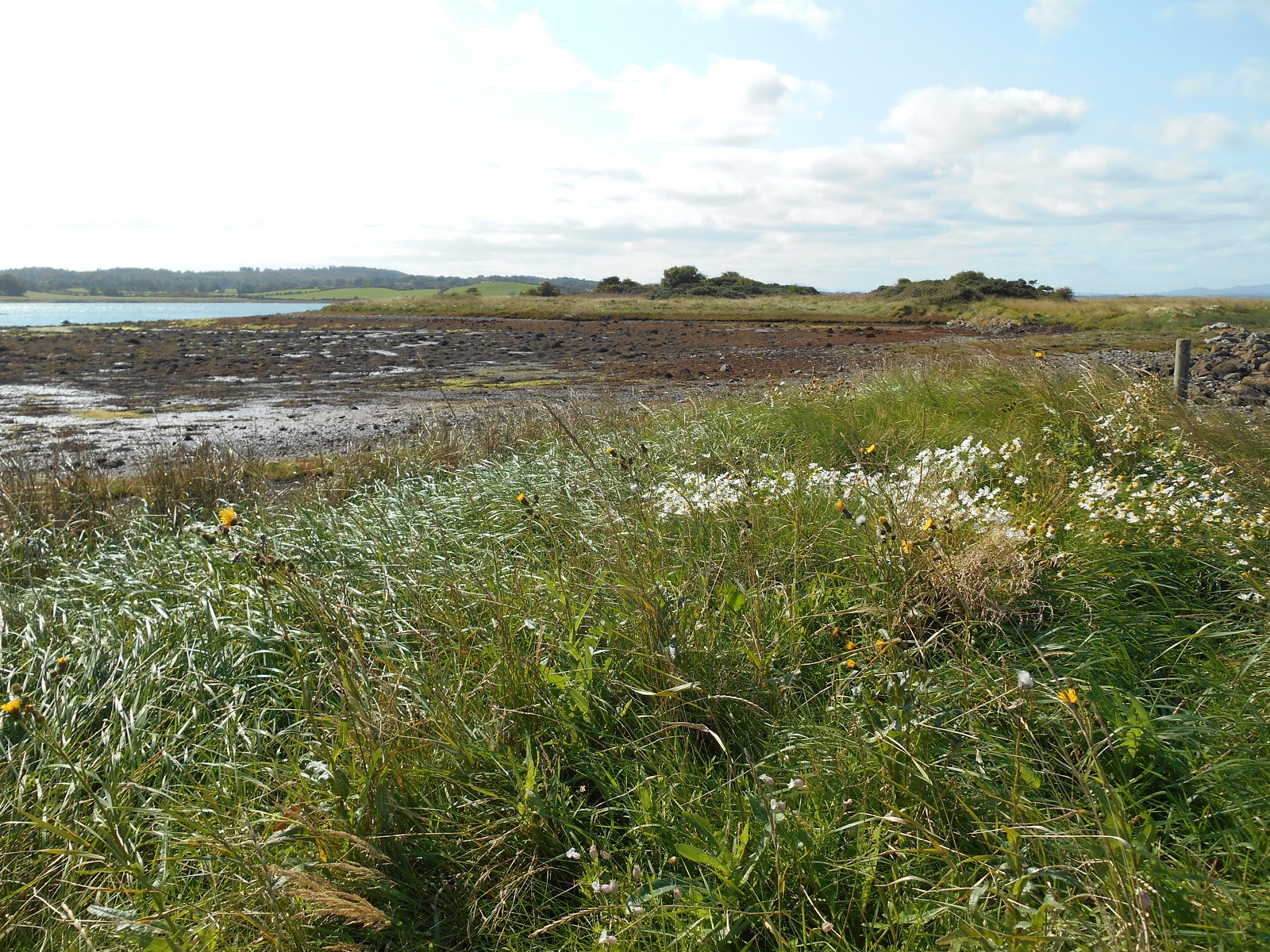 A lifetime of Islands Island 288 Ballyhenry Island, Strangford Lough