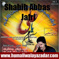 http://ishqehaider.blogspot.com/2013/11/shabih-abbas-jafri-nohay-2014.html