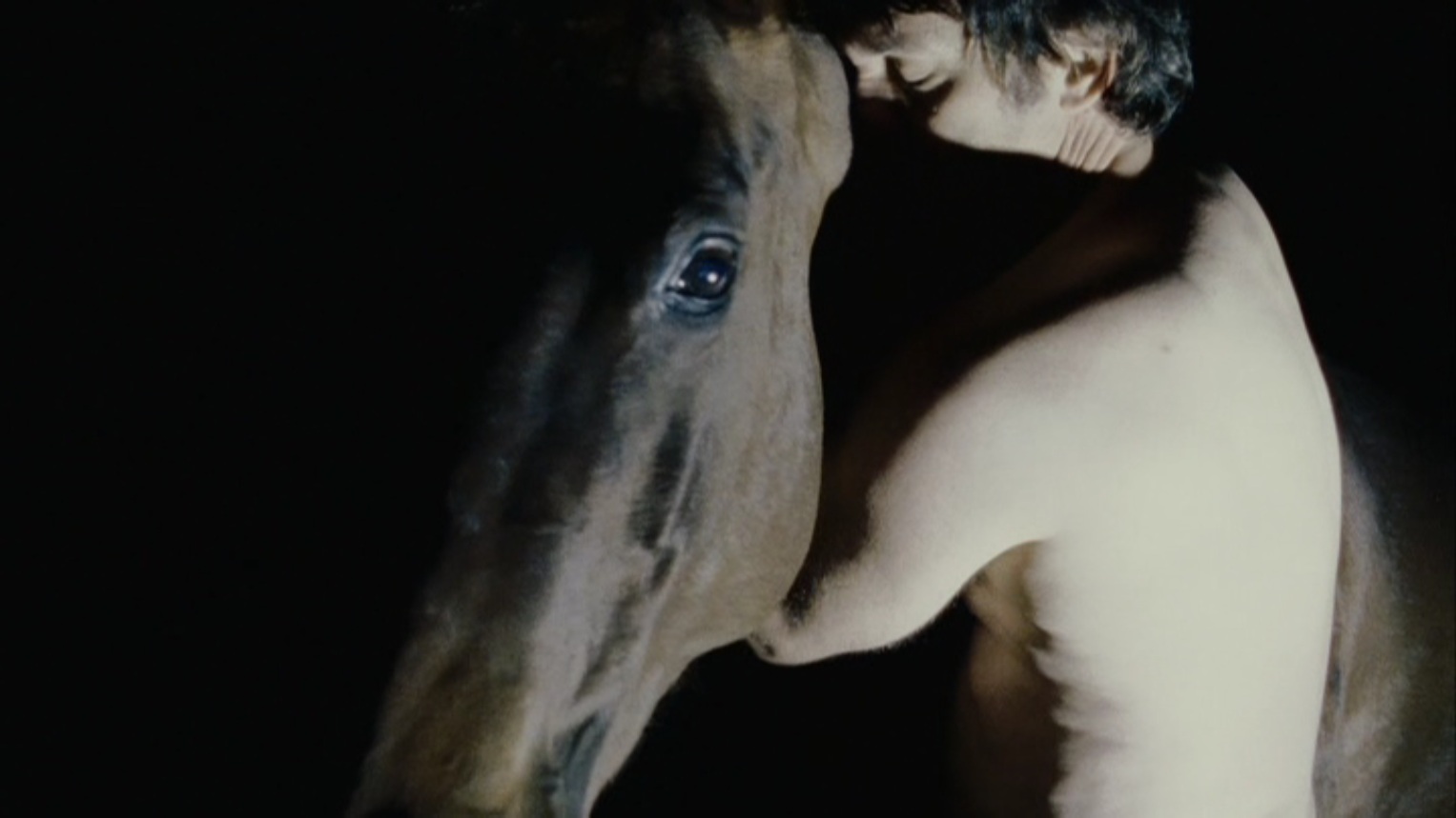 Фаллоимитатор EraSexa Анаконда для двойного проникновения, 22 см, оранжевый zoo20 - Erasexa - Зооэротика - Купить