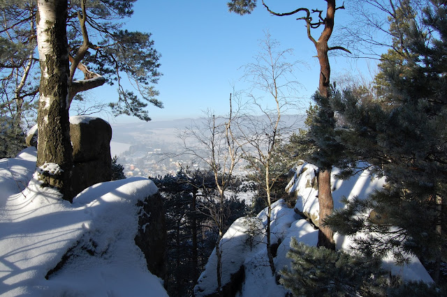 DSC_7353.JPG