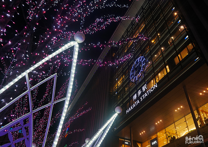 Gare Hakata, illuminations cerisiers