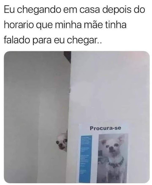 Memes engraçados Memes engraçados