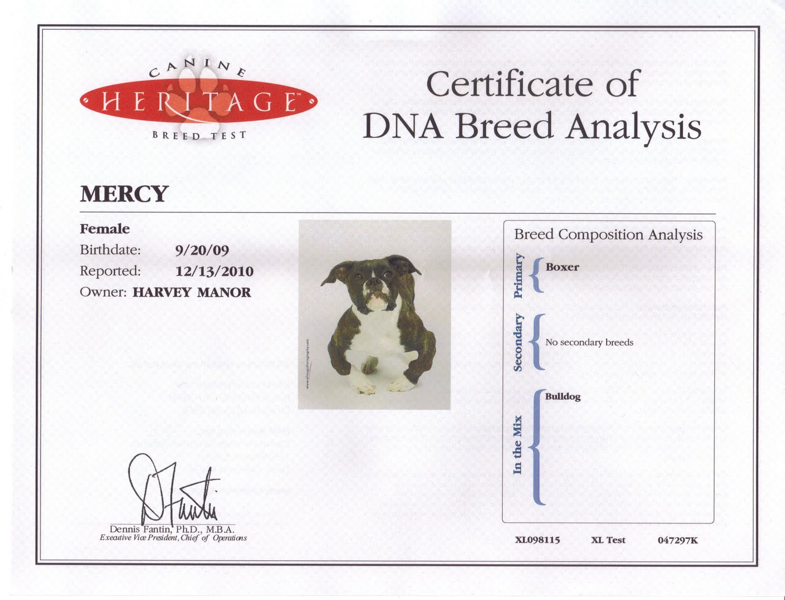 Dog Dna Test Results , How to Read Your Dog’s DNA Test Results: 5 Vet ...