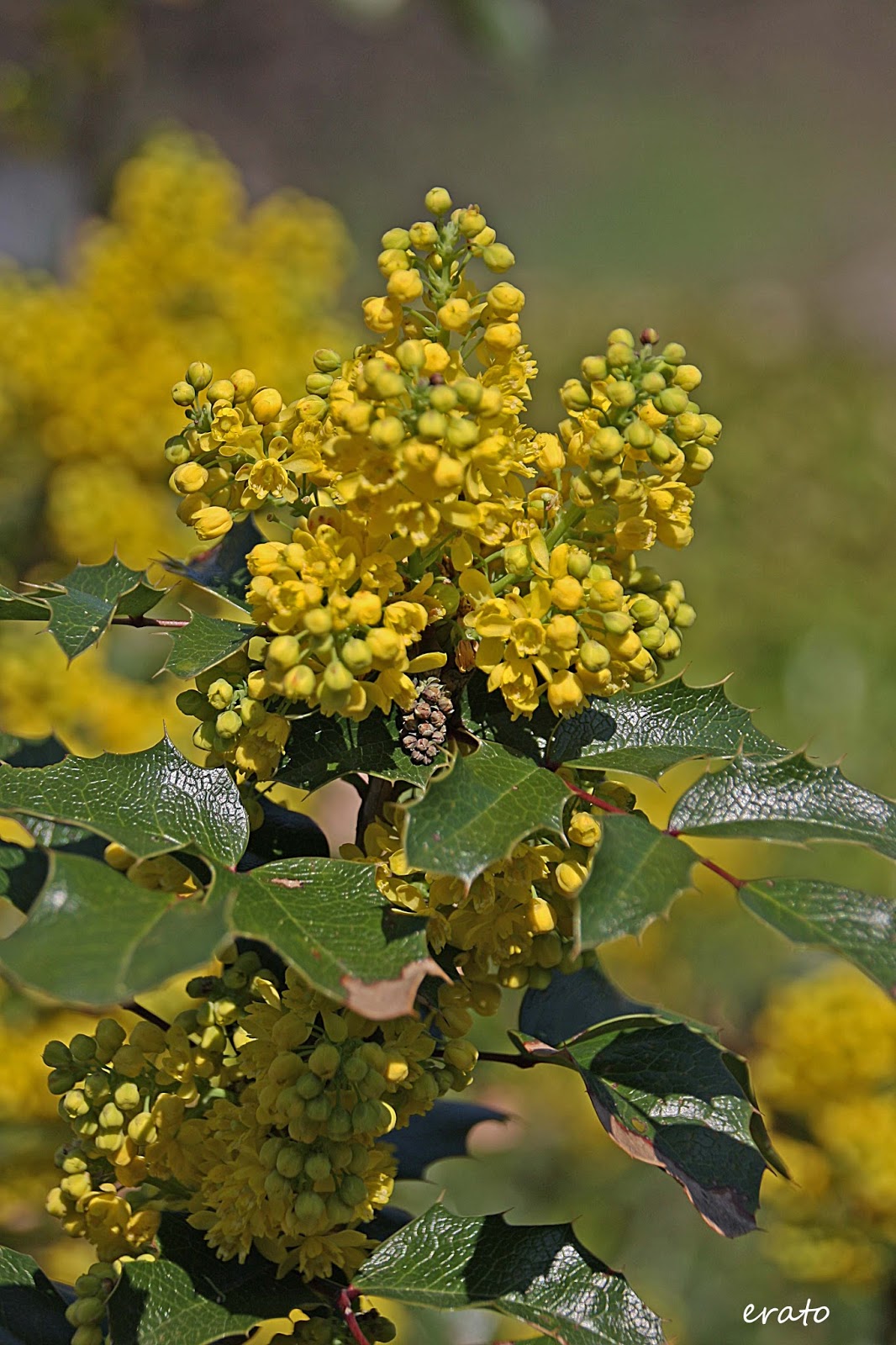 Reveries Instants De Mars