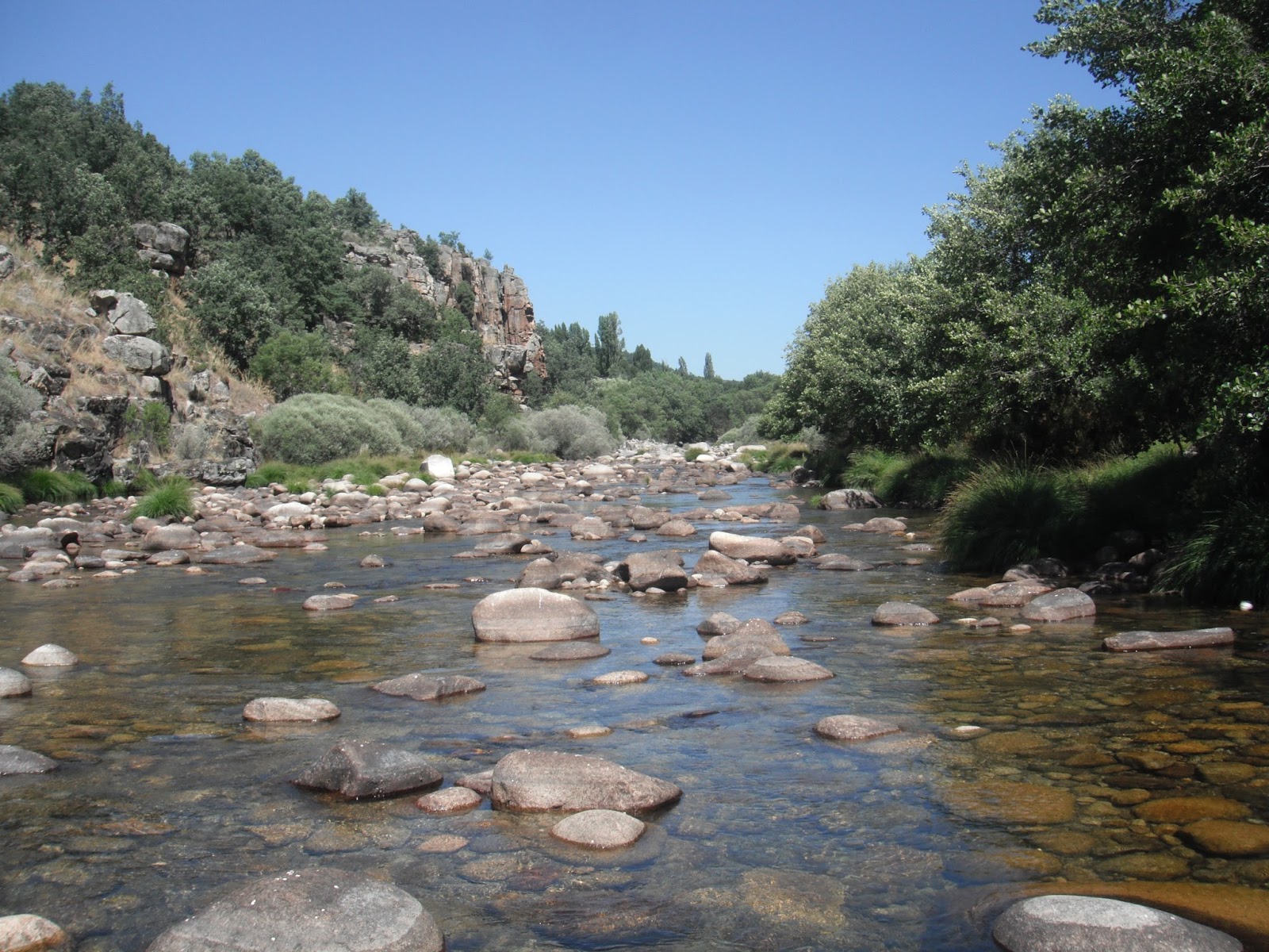 diario de pesca ZAPARDIEL DE LA RIVERA