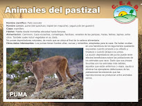 Animales del pastizal: Fichas