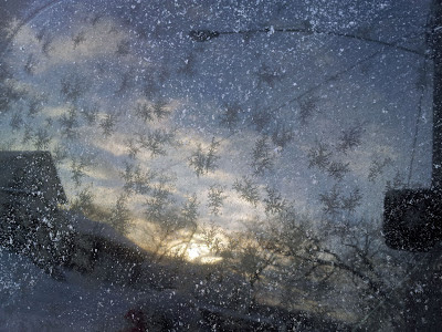 Jack Frost