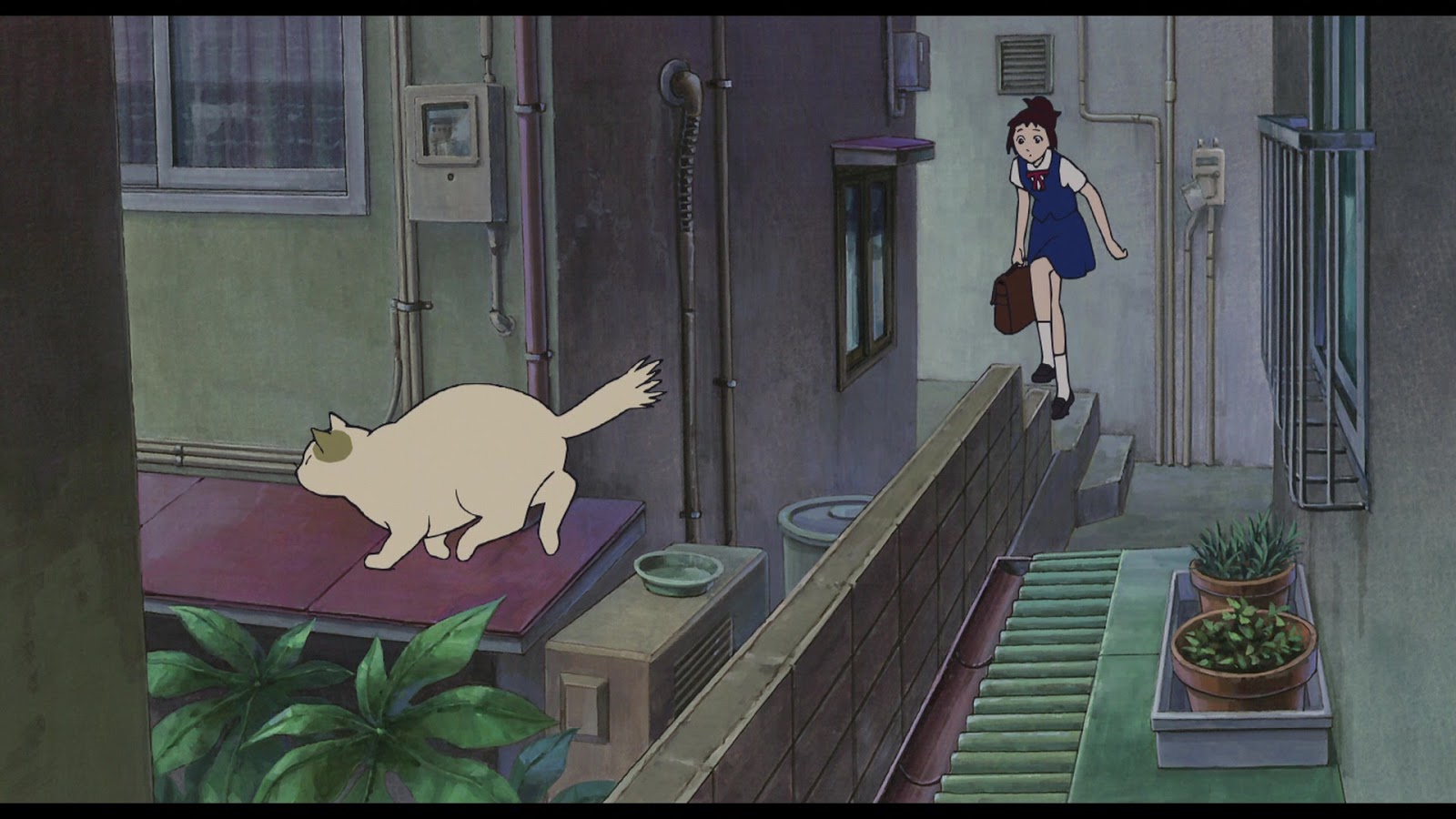 Ghibli Blog Studio Ghibli, Animation and the Movies The Cat Returns