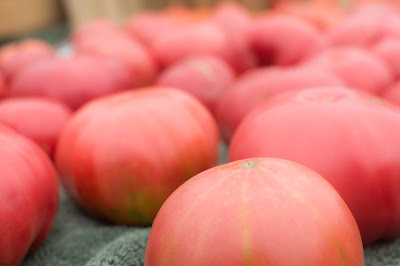 Heirloom Tomatoes! Photo by Reed Petersen