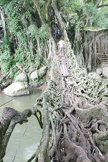 Jembatan Akar, Painan