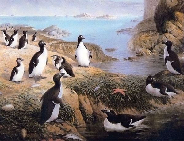 6 Ridiculous Ways Animals Went Extinct Tenbuzzfeed