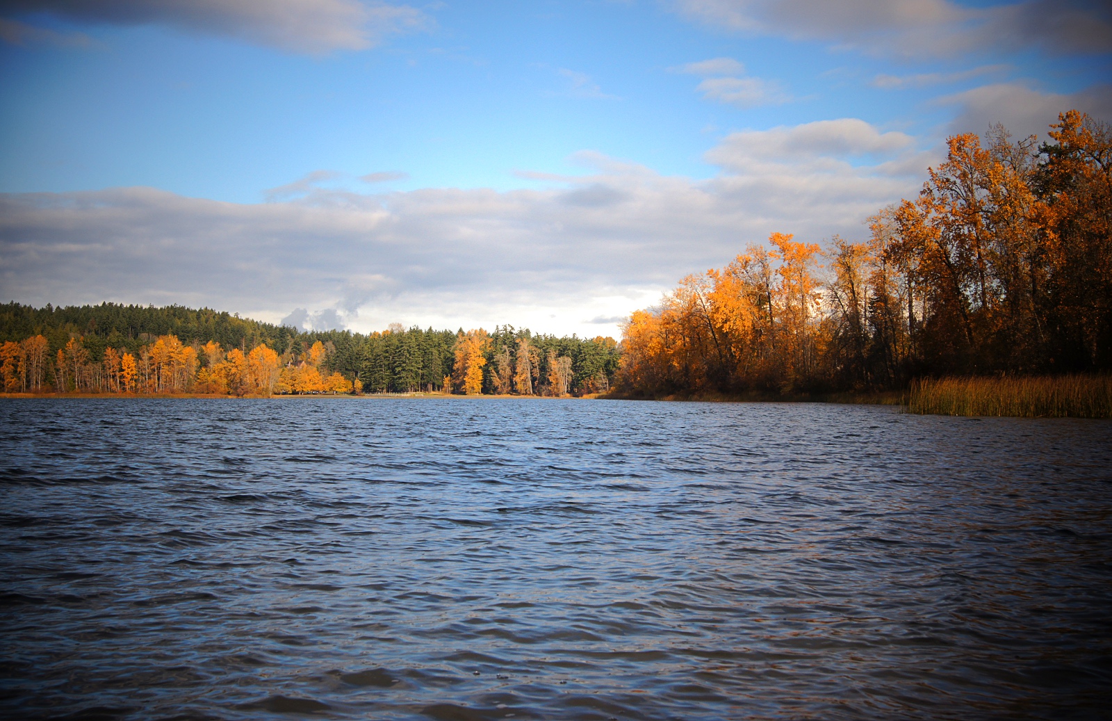 Victoria Picture Elk Lake Autumn