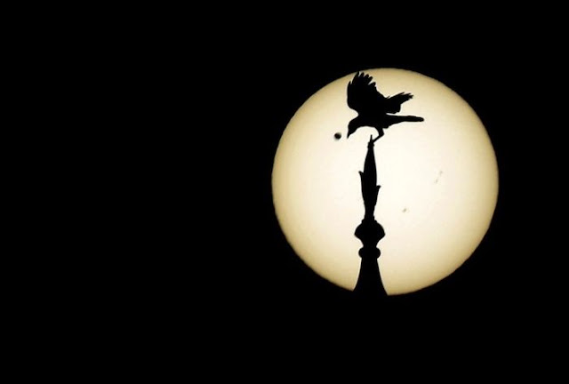 venus_passing_02.jpg