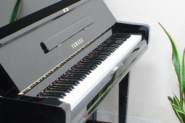 đàn piano Yamaha U1 và Yamaha U2 đàn piano Yamaha U1 và Yamaha U2