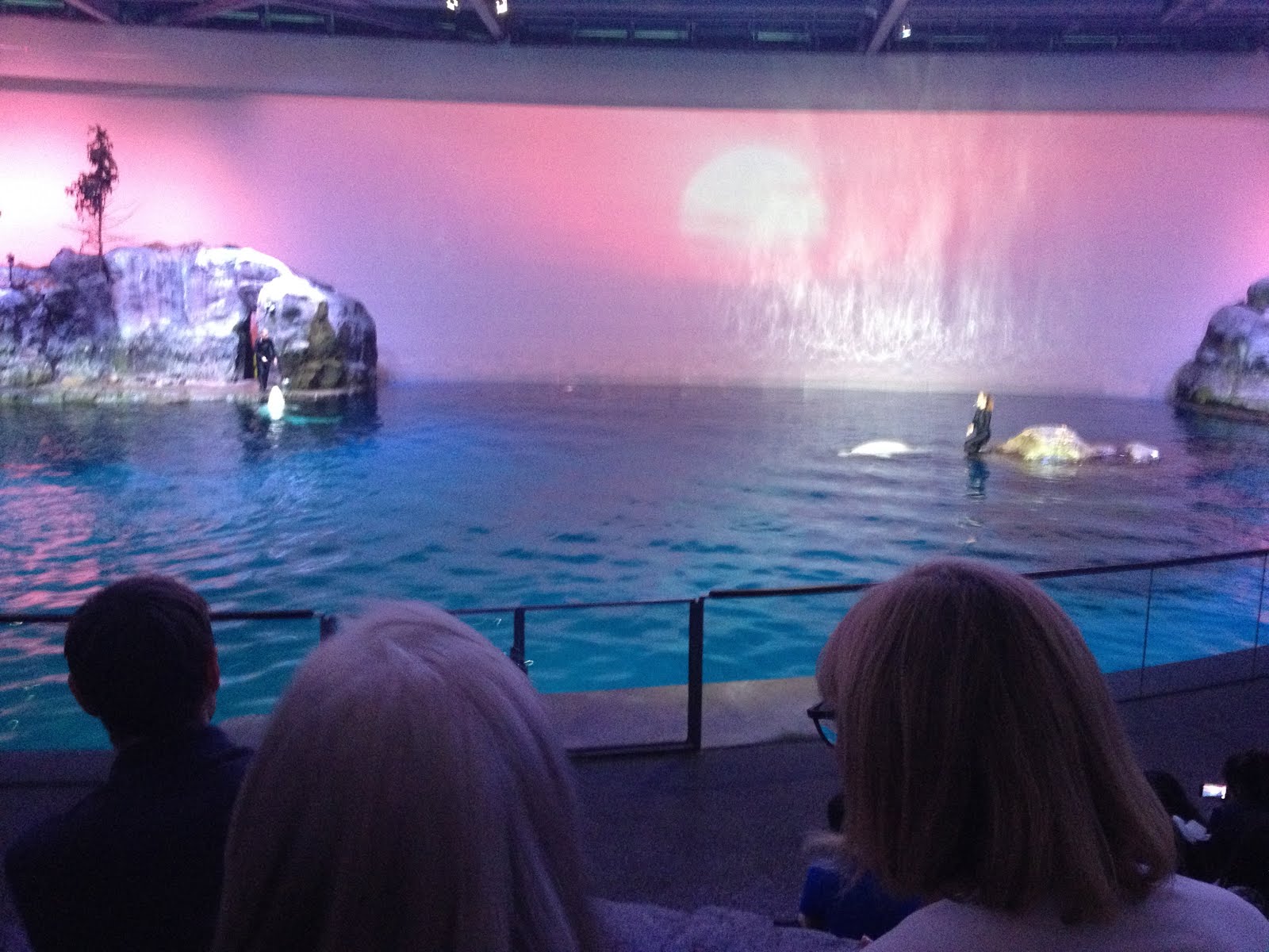 쉐드 아쿠아리움, 시카고 (Shedd Aquarium, Chicago)