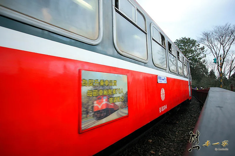 沼平車站|沼平公園櫻花季|嘉義阿里山國家森林遊樂區景點|阿里山櫻花季