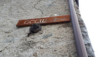 Occie