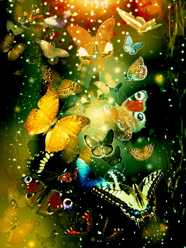 Butterflies iPad Mini Retina Wallpapers Free iPad Retina HD Wallpapers