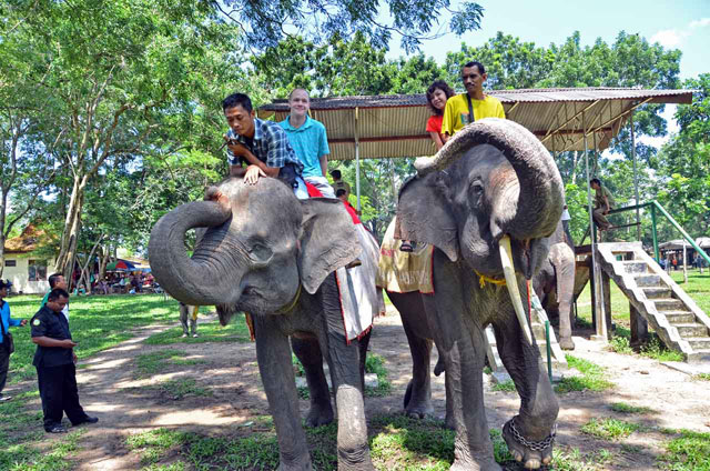 Tempat Wisata di Lampung yang Paling Memikat Wisatawan