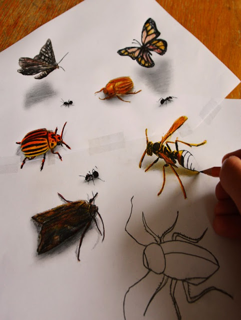 Alucinantes dibujos en 3D sobre hojas planas de papel
