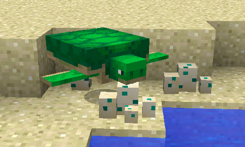 tartaruga-e-ovos.png