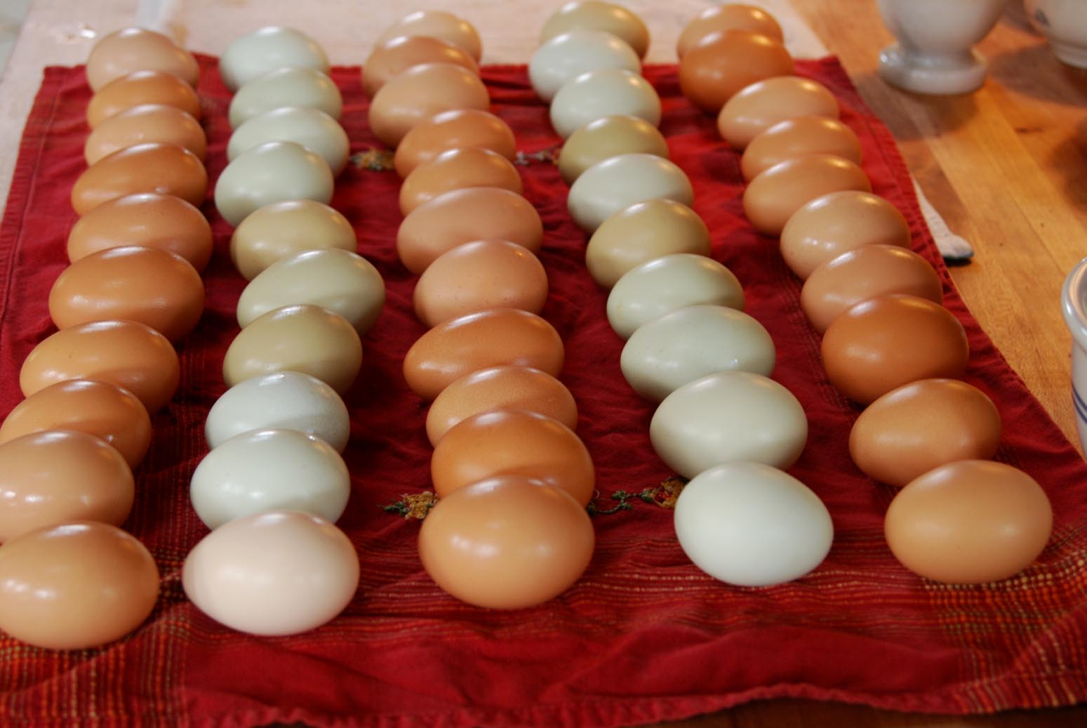 Applegarth Farm Egg Selling Stand applegarth-farm-egg-selling-stand
