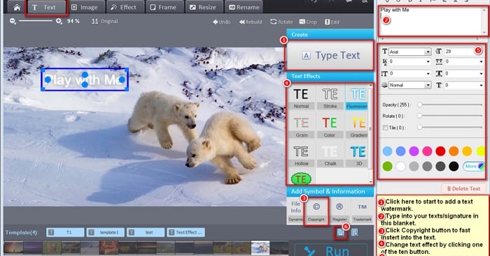 Photo watermark software full version
