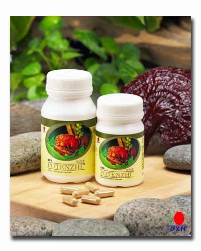 DXN Potenzhi | Powerful Male Sexual Tonic Supplement