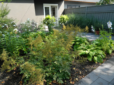 Danforth backyard Paul Jung Gardening Services by garden muses-not another Toronto gardening blog