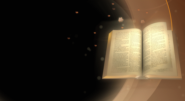 Книга открывается анимация для презентации