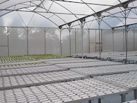 Inilah 5 Manfaat Pembangunan Greenhouse Untuk Budidaya Tanaman Inilah 5 Manfaat Pembangunan Greenhouse Untuk Budidaya Tanaman