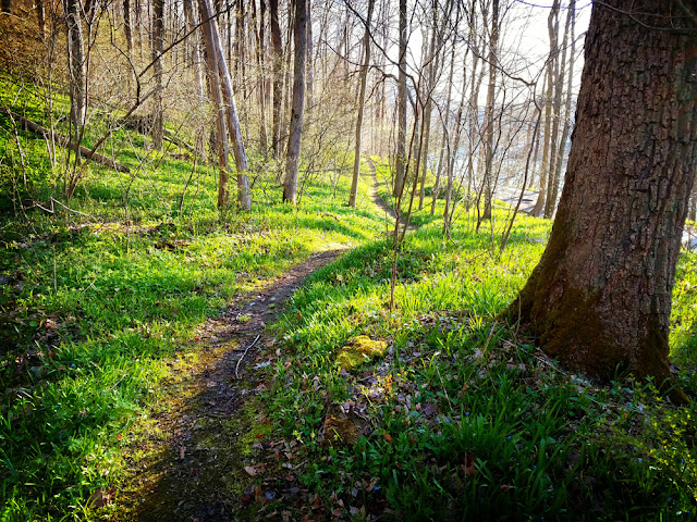 Up the McDade Hiking Trail