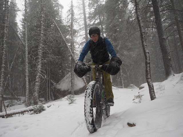 dogwood designs pogies