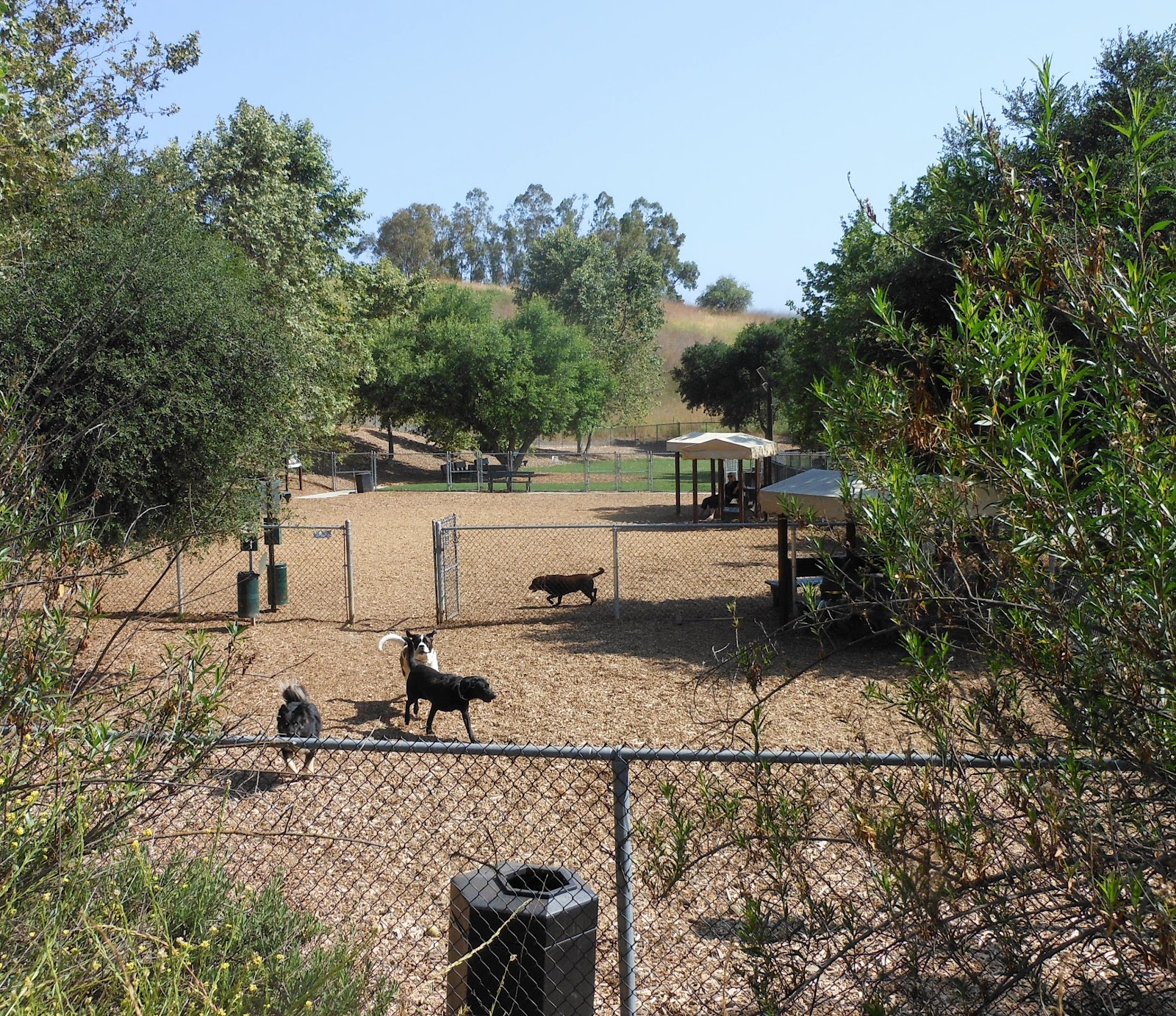 1000 Hikes in 1000 Days Day 556 Bark Park New Millennium Loop Trail