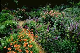 jardin et fleurs: