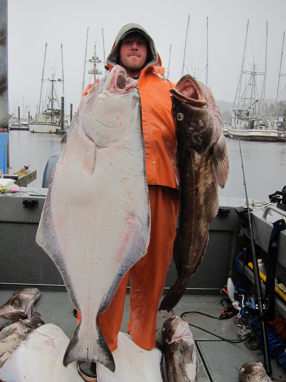 Todds Extreme Fishing Neah bay halibut & lingcod