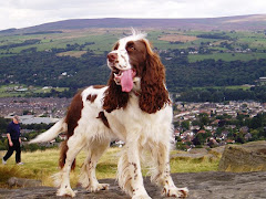 We're dog-friendly - see our website information pages