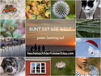 https://heutemachtderhimmelblau.com/bunt-ist-die-welt-109/