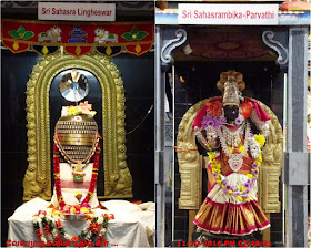 Sri Sahasra Lingheswar - Sahasrambika Parvathi