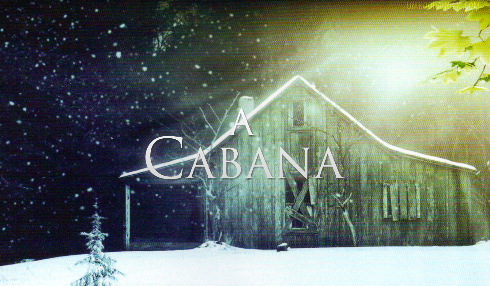 A Cabana: um filme que nos encanta e nos faz refletir