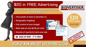 Cara Mendaftar dan Bukti Pembayaran BidVertiser Alternatif Google Adsense Terbaik 