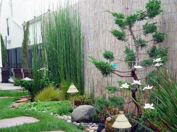 modern minimalist home garden