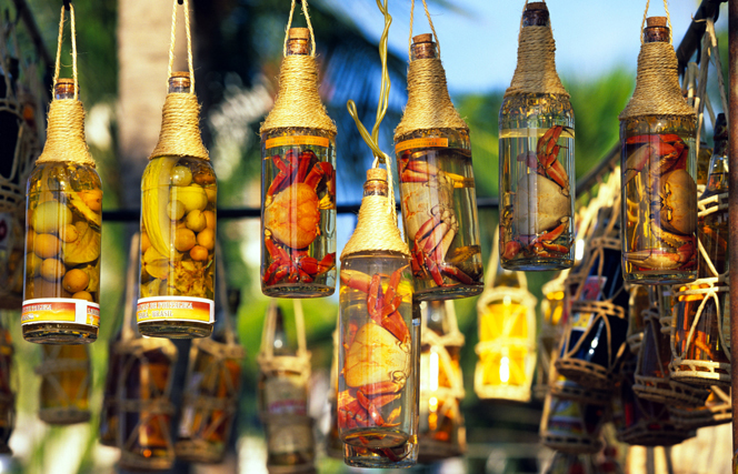 Casa, Coisas e Sabores: Como fazer cachaça com caju dentro na garrafa