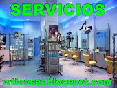 SERVICIOS