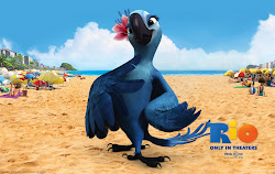 rio jewel blu hathaway bird macaw fly anne doesn filme wallpapers animation film azul linda together him behind scenes janeiro
