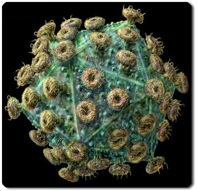 gambar Virus HIV