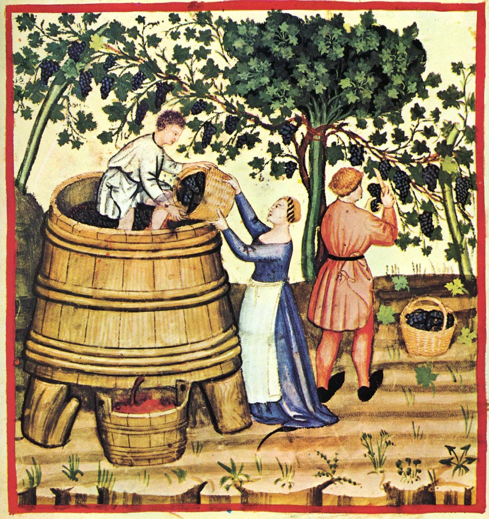 Medieval Manuscripts Unlocked: 2016