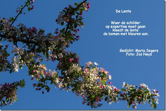 Wegwijzers van Maria: Gedicht + foto: De lente